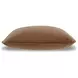 Caygan Honey Accent Pillow