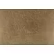Cortnie Brown Accent Pillow