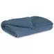Gayelery Blue Throw