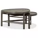 Hadleigh Black Coffee Bean Free Form Nesting Occassional Table Set