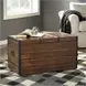 Kettleby Brown Storage Trunk