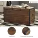 Kettleby Brown Storage Trunk