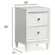Springhouse Whisper White 2 Drawer Nightstand with USB Charging