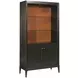 Hidden Treasures Victor Dark Stain 2 Door Bookcase Cabinet with LED