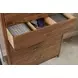 Monogram Walnut Rockwood Medium Stain 8 Drawer Chest
