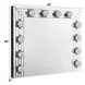 Noralie Silver Rectangular Hollywood Wall Mirror with Light