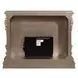 Danae Antique Silver Rectangular Electric Fireplace