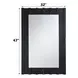 Drisana Black Rectangular Wall Mirror