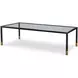 Jennings Black and Gold Rectangular Glass Top Cocktail Table