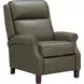 Amber Oasis Olive Leather Dual Power Recliner with Power Headrest and USB Charging
