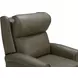 Amber Oasis Olive Leather Dual Power Recliner with Power Headrest and USB Charging