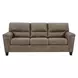 Navi Fossil Queen Sofa Sleeper