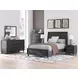 Danziar Black 6 Drawer Dresser and Rectangular Mirror