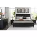 Danziar Black 6 Drawer Dresser and Rectangular Mirror