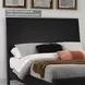 Danziar Black Queen Panel Bed
