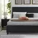 Danziar Black Queen Panel Bed