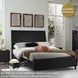 Danziar Black Queen Panel Bed