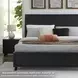 Danziar Black King Panel Bed