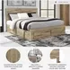 Hyanna Tan Queen Single Side Storage Platform Bed