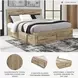 Hyanna Tan Brown Queen Panel Storage Bed with 2 Under Bed Storage Drawer