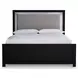 Raechalla Black Queen Upholstered Panel Bed with LED