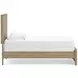 Dovander Warm Natural Brown Twin Panel Bed