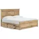 Fenderport Tan King Panel Bed with 2 Side Drawer Storage