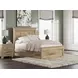 Fenderport Tan Full Panel Bed with 2 Side Drawer Storage