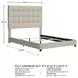 Dolante Contemporary Beige Queen Upholstered Panel Bed