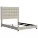 Dolante Contemporary Beige Queen Upholstered Panel Bed