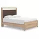 Hollymount Tan and Brown Queen Upholstered Platform Bed with LED