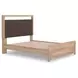 Hollymount Tan and Brown Queen Upholstered Platform Bed with LED