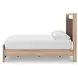 Hollymount Tan and Brown Queen Upholstered Platform Bed with LED