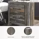 Drystan 2 Drawer Nightstand with USB Charging Ports