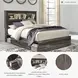 Drystan Queen Bookcase Bed with Dual Side Storage Drawers