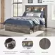 Drystan Full Bookcase Bed with Side Storage Drawers