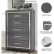 Lodanna Gray 5 Drawer Chest