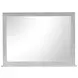 Fiona Mist Gray Rectangular Dresser Mirror