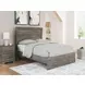 Ralinksi Gray Youth Panel Bedroom Set