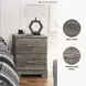Ralinksi Gray 2 Drawer Nightstand