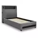 Cayberry Gray Twin Upholstered Panel Bed with LED