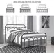 Nashburg Black Queen Metal Slat Bed