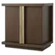 Carino Cocoa and Gold 2 Door Accent Chest