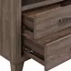 Harrisburg Walnut 2 Drawer Nightstand with USB Charging