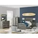 Frandern Gray Dressing Chest