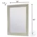 Blue Isles Aged Ivory Rectangular Dresser Mirror