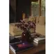 Folke Walnut Rectangular Coffee Table