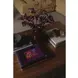 Folke Walnut Rectangular Coffee Table
