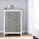 Katia Rustic Gray and Weathered White 5 Drawer Chest