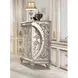 Sandoval Champagne 5 Drawer Chest